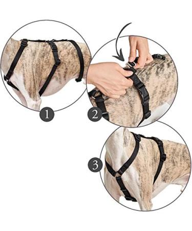 HUNTER Vario Rapid Safety Harness - Adjustable 64-100 cm in Black | International Shipping Available - Buy Online on GoSupps.com