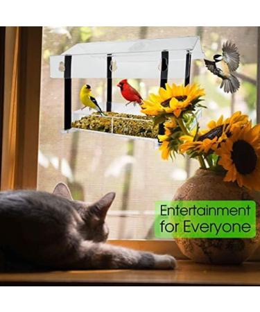 FGXY Window Bird Feeder, Birds House Balcony for Outdoor with Strong Suction Cups Drinking Water Sink Bird Watching Clear Bird Feeder for Window for Wild Bird Small Bird - Buy Online on GoSupps.com