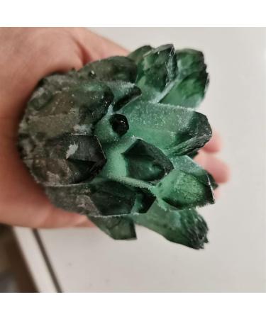 Crystal Rough Natural Crystal Rough Specimen Green Ghost Phantom Quartz Crystal Cluster Rock Stones Crystals ReikiSpecimen Home Decor GiftStone (Size : 400-500 g) - Buy Online on GoSupps.com