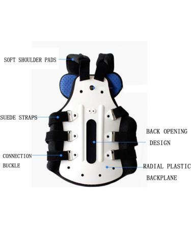 Dameco Lumbar Spine Orthosis - Breathable Thoracolumbal Bracket for Men & Women | Lightweight & Comfortable Support - Buy Online on GoSupps.com