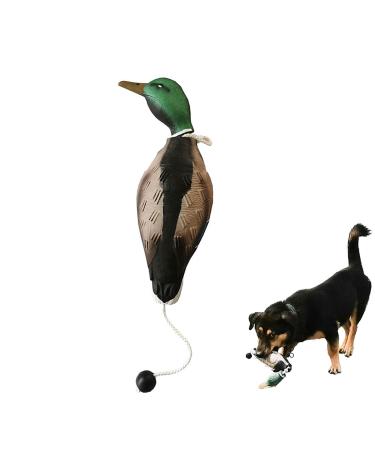 MR.HOKWY Dog Training Duck Dummy- EVA Material Trainer with Throwing Toggle Dog Retrieval Training Toys Bird Dummy Mallard Mimics Duck Bumper Toy for Puppies or Adult Hunting Dogs - Buy Online on GoSupps.com
