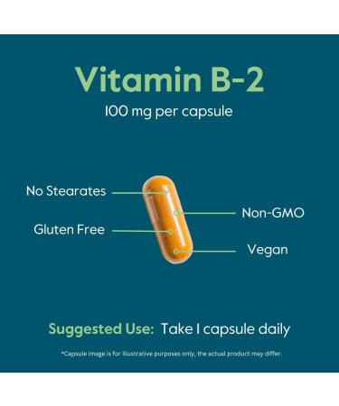BESTVITE Vitamin B-2 100mg (240 Vegetarian Capsules) - No Stearates - No Dicalcium Phosphate - Vegan - Non GMO - Gluten Free - Buy Online on GoSupps.com