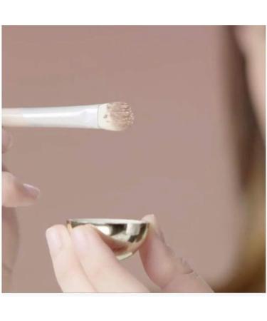 beautyblender Shady Lady All-Over Blending Eyeshadow Brush and Cooling Anti-Puff Eye Roller for Dark Circles - Buy Online on GoSupps.com