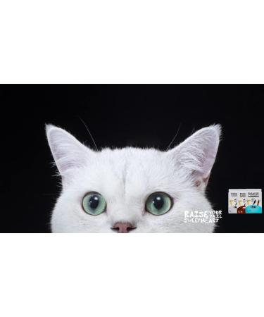 JUNAI Tofu Cat Litter 3 Packs(2.3kg x 3) Active-Carbon Natural Clumping Cat Litter Crushed flushable Biodegradable Kitty Litter Good for All cat Litter Box Lightweight dust Free and Odor Control Active-Carbon Crushed Three Packs - Buy Online on GoSupps.com