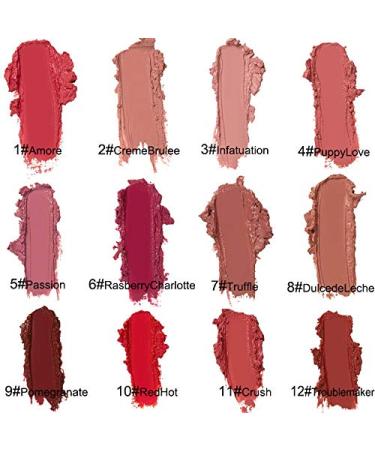 PICKX 12 Color Waterproof Lipstick Set - Long Lasting Cream Texture Lip Gloss in Velvet Finish (02#) - Buy Online on GoSupps.com