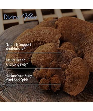 Divine Vibes Mushroom Supplement Promotes Mental Clarity Focus and Memory Daily Mushroom Supplement Vegan 60 Capsules (30 Servings) - Buy Online on GoSupps.com