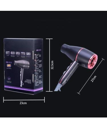 Professional Hair Dryer 2200W Ionic Hairdryer Lightweight Hairdryer Blow Dryer Fast Dry Dryer with 4 Speeds Cold Shot Button DC Motor 2 Concentrator Overheating Protection for Travel Salon Home Use - Buy Online on GoSupps.com
