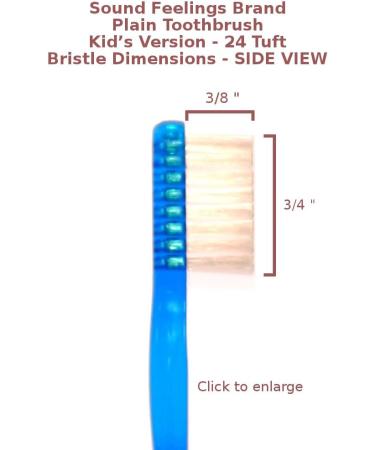 Buy Basic Toothbrush Sampler 6-Pack - Best Quality with International Shipping - Buy Online on GoSupps.com