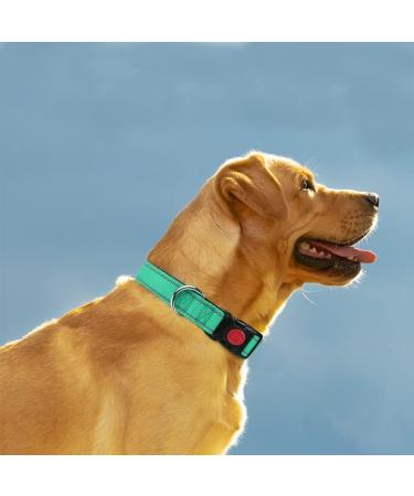 Taglory XL Dog Collar - Soft Padded Neoprene Nylon Adjustable & Reflective Perfect for Training - Turquoise (1-Pack) - Buy Online on GoSupps.com
