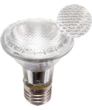 Buy SOLAR RAPTOR UV Halogen Spot 50W - Premium Reptile Heat Lamp for Terrariums | Daylight Spectrum - Buy Online on GoSupps.com