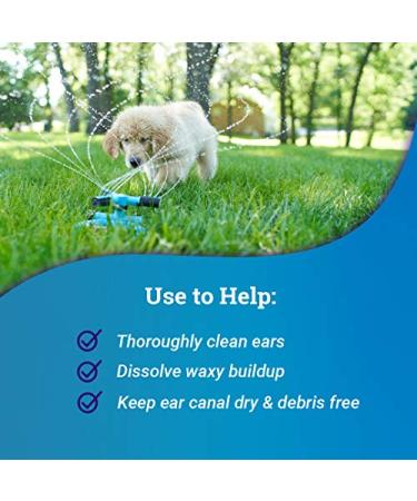 OtiRinse Ear Cleansing Solution for Dogs, Cats & Horses - 8 oz | Effective Ear Care - Buy Online on GoSupps.com
