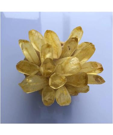 Natural Crystal Rough Stone Crafts Natural Yellow Ghost Phantom Quartz Crystal Cluster Specimen Home Decoration Office Living Room Crystal Decora (Size : 250-300g) - Buy Online on GoSupps.com