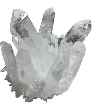 Stone Crafts Raw Natural White Clear Quartz Cluster Rough Crystal Geode ZJGIDTEM (Size : 1PC 500G-580G) - Buy Online on GoSupps.com