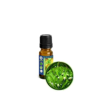 10ml (1/3oz) Fougere (Fern) Absolute Oil - Masculine Fragrance - Quintessence of Manhood