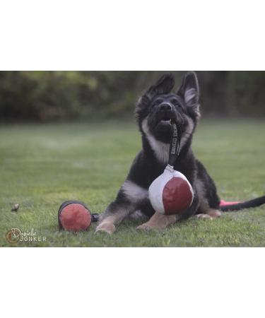Dingo Gear Soft Real Leaderball with Handle - 11 cm Dog Toy for Retrieving & Rewarding | International Shipping - Buy Online on GoSupps.com