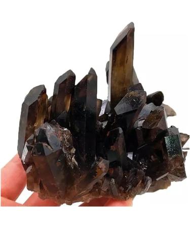 Natural Rough Smoky Quartz Crystal Cluster Specime Beautiful Crystal Cluster (Size : 1pc 760G-850G) - Buy Online on GoSupps.com