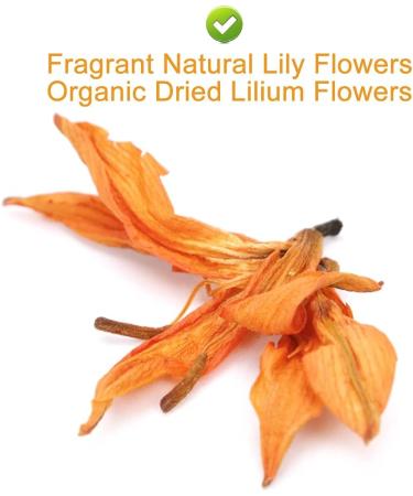 PlantGift Fragrant Natural Lily Flowers 35G/1.23oz Organic Dried Lilium Flowers Health Tea Chinese Lily Tea - Buy Online on GoSupps.com