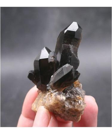 Crystal Natural Black Quartz Crystal Cluster Natural ore Sample Stone Crystal for Home Decoration Collection and Gift Draw yuebang Stone Mineral Specimen 80g-100g Black - Buy Online on GoSupps.com