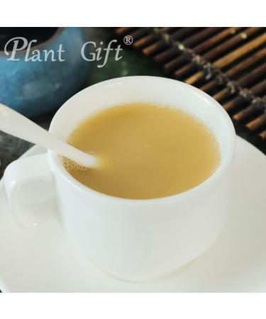 Plant Gift (2UK-PO0071) - Buy Online on GoSupps.com