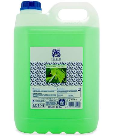 Valquer Profesional Special Chlorophyll Shampoo for Professional Hairdressing Carafa 5000 ml - Buy Online on GoSupps.com