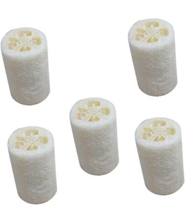 Buy FOMIYES 10 Pcs Natural Loofah Sponge Set for Kitchen & Bath - Eco-Friendly Cleaning & Massage | Best Bath Pouf & Washing Up Sponge - Buy Online on GoSupps.com