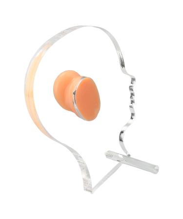 Ear Display Mold: Lifelike Silicone Ear Model with Acrylic Stand for Hospitals - Buy Online on GoSupps.com