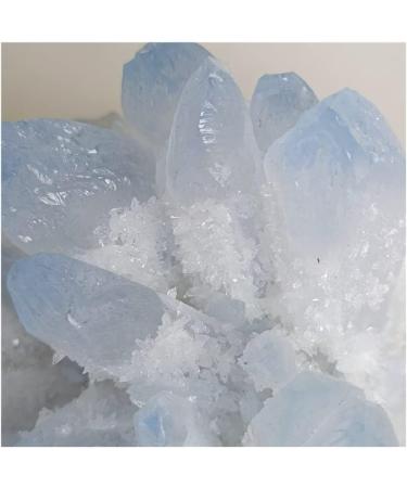 Blue Ghost Phantom Quartz Crystal Cluster Specimen kaixun (Size : 401-500g) - Buy Online on GoSupps.com