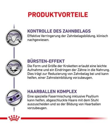 Royal Canin Cat Food Veterinary Dental DS0 29 - Buy Online on GoSupps.com