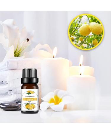 Water Soluble Essential Oil Set - Natural Fresh Air Bottles | Versatile & Practical (4) | International Shipping Available - Buy Online on GoSupps.com