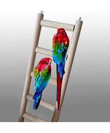 BlueMoo Wooden Pet Ladder Cage Toys for Parrot Bird Budgie Rodent Hamster Mouse Gerbil - Buy Online on GoSupps.com
