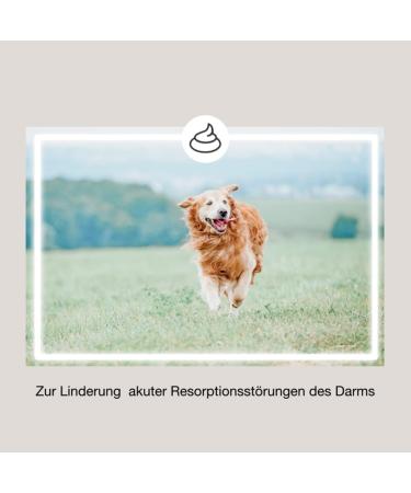 CaniMove Double Pack Enteral Acute - 2 x 12 Tablets for Dogs & Cats | Relief for Acute Diarrhoea | International Shipping Available - Buy Online on GoSupps.com