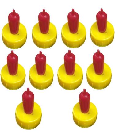 Soft Drink Bottle for Young Animals - Pack of 10 - Buy Online on GoSupps.com