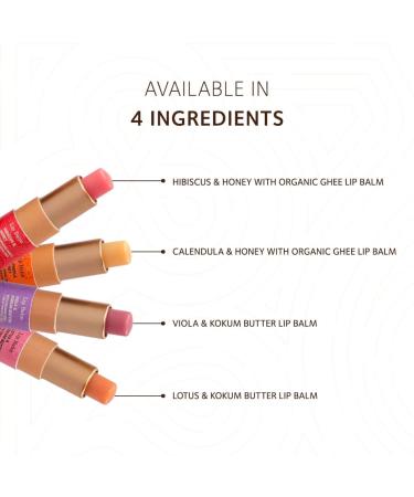 Calendula & Honey Lip Balm with Organic Ghee | Heals & Hydrates Lips - 3.5g | International Shipping - Buy Online on GoSupps.com