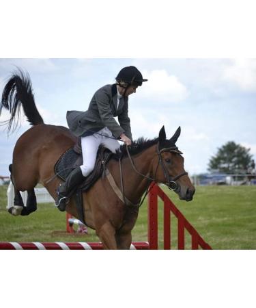 27 Inch Purple Riding Crop for Horse | Fiberglass Shaft with Leather Double Slapper - Buy Online on GoSupps.com