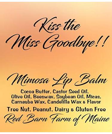 10 KISS THE MISS GOODBYE Mimosa Flavored Lip Balms - Perfect Favors for Bridal Showers & Bachelorette Parties - Buy Online on GoSupps.com