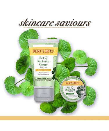 Burt's Bees 99% Natural Res-Q Cream with Cica - Healing Skin Therapy 48g | Shop Internationally - Buy Online on GoSupps.com
