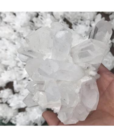 1pc Natural s Clear Quartz Cluster Freeform s Room Home Office Aquarium Decoration Accessories Gemstone Can be Used for (Size : 550-600g) ningxiao (Size : 250-300g) - Buy Online on GoSupps.com