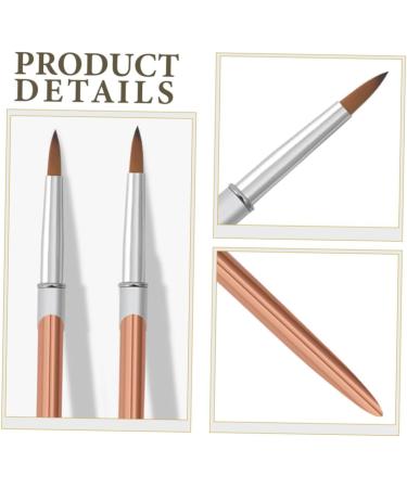 Ipetboom Metal Rod Nail Art Pen Thin Nail Art Brush Nail Pens Nail Art Drawing Pens Manicure Tools Portable Nail Art Brush Nail Brushes for Nail Art Striping Liner Aluminum Single 17.40X1.00X1.00CM As Shown - Buy Online on GoSupps.com