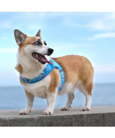 WINHYEPET Truelove Soft Mesh Reflective Dog Harness for Extra Small and Small Dogs - Breathable & Easy Walk Vest Harness | TLH30131 M Poinsettia - Buy Online on GoSupps.com