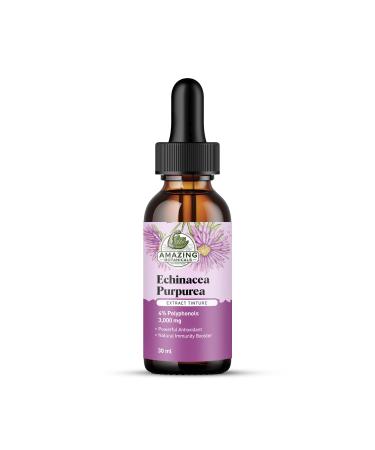 Amazing Botanicals Echinacea Purpurea Extract Tincture - 3,000mg Herbal Liquid Supplement Extract for Immune System Support - High Strength Formula with Natural Antioxidant for Overall Wellbeing