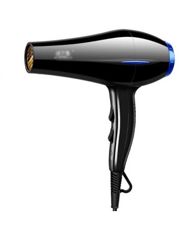 Hair Dryer 2000W Negative Ionic Fast Dry Low Noise Blow Dryer Professional Salon Hair Dryers