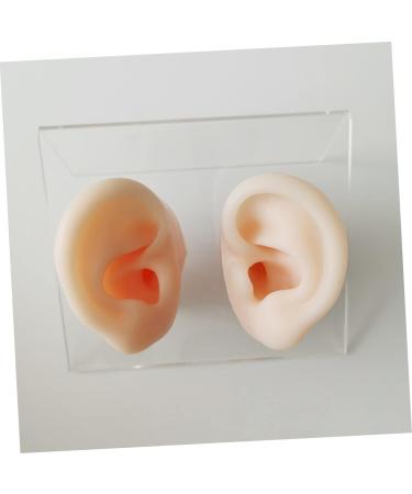 Ciieeo Silicone Ear Picking Tunnels - Teaching & Practice Tool for Realistic Ear Simulation - Buy Online on GoSupps.com