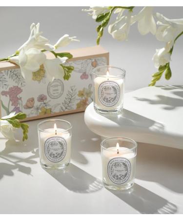 Rainfox Scented Candles Gift Kit - Aromatherapy Soy Wax Candle Set for Home & Women | International Shipping Available - Buy Online on GoSupps.com