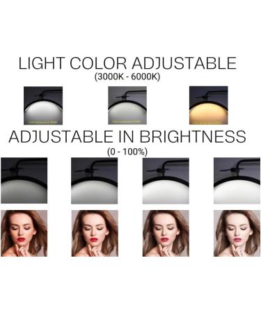 LED Half Moon Floor Lamp for Beauty Skincare & Lash Extension | Eyelash Lighting for Filming & Content Creation - White - Buy Online on GoSupps.com