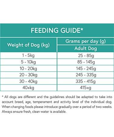 Hypoallergenic and grain-free adult dry kibble with salmon trout sweet potatoes and asparagus 6 kg - Buy Online on GoSupps.com