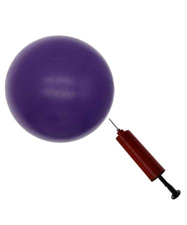 8 inch Exercise Ball, Small Exercise Ball Mini Yoga Ball, Pilates Ball 8 in with Needle Pump, Core Ball Barre Workout Anti Burst 8 Ball for Stability Physical Therapy Fitness purple
