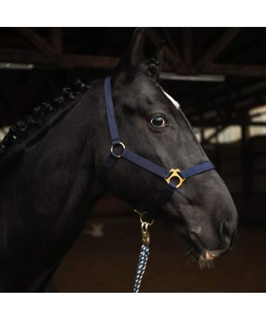 Halter for horse warmblood thoroughbred cold blood - stable halter pasture 2 compartment adjustable to chin straps and neck pieces safe & tearproof (dark blue warmblood (full)) Dark blue warmth (full)