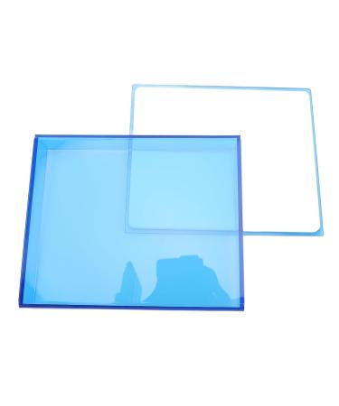 Buy Transparent Blue False Eyelashes Storage Box - Convenient Grafting Eyelashes Pallet for Home & Beauty Salon - Buy Online on GoSupps.com