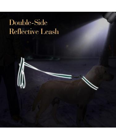 Personalized Reflective Dog Collar & Leash Set for Large Dogs | Tagme Turquoise 1.5m Double-Sided - Buy Online on GoSupps.com