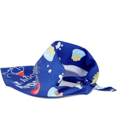 Dog Birthday Bandana Hat Set | Party Supplies for Small & Medium Dogs | Cute Blue Scarf for Puppy Celebrations - Buy Online on GoSupps.com